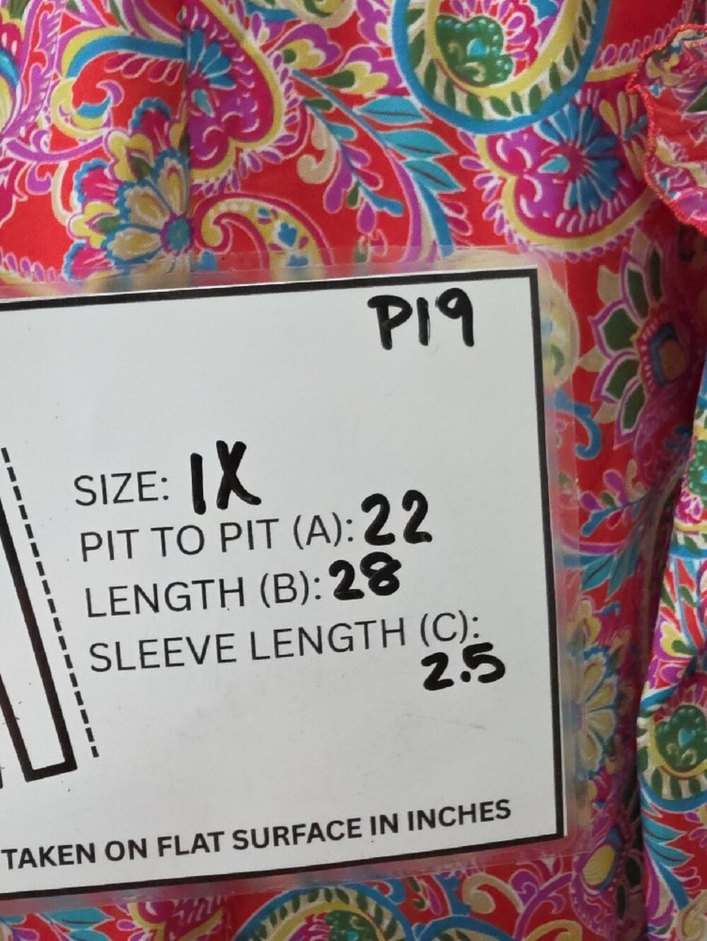Chenault Vibrant Pink Paisley Tie-Neck Blouse with Ruffled Trim - 1X - Picture 8 of 8
